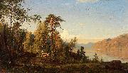 Amaldus Clarin Nielsen, Fjordparti